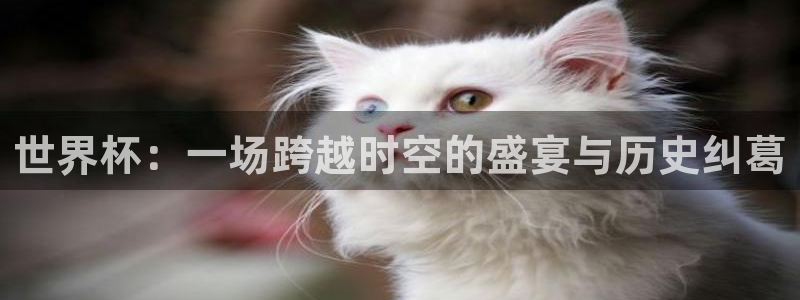 亚洲杯足球：世界杯：一场跨越时空的盛宴与历史纠葛