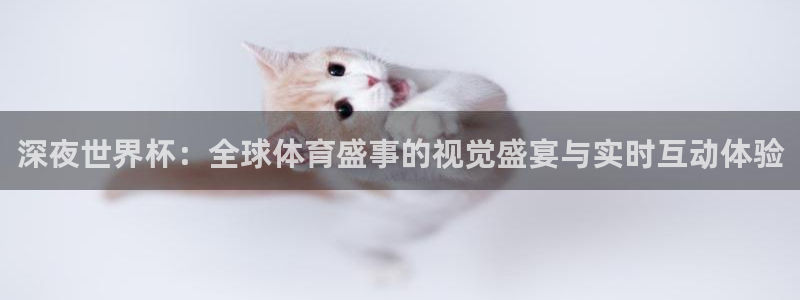 世界杯预选赛：深夜世界杯：全球体育盛事的视觉盛宴与实时互动体验