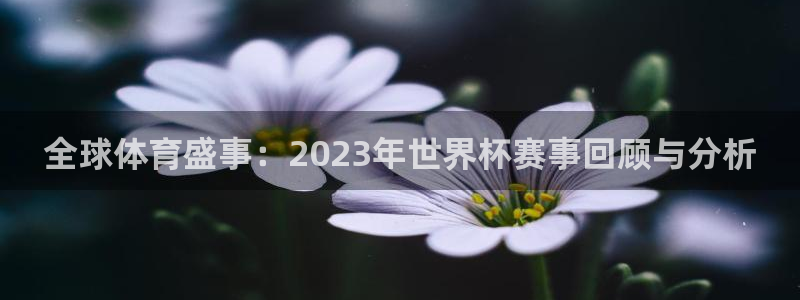 世界杯预选赛直播：全球体育盛事：2023年世界杯赛事回顾与分析