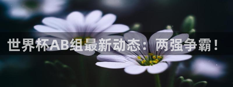 世界杯预选赛直播：世界杯AB组最新动态：两强争霸！