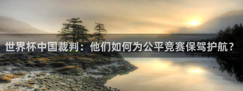 世界杯足球2026：世界杯中国裁判：他们如何为公平竞赛保驾护航？