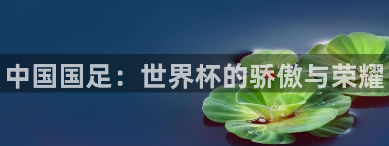 2026世界杯赛程时间表最新：中国国足：世界杯的骄傲与荣耀