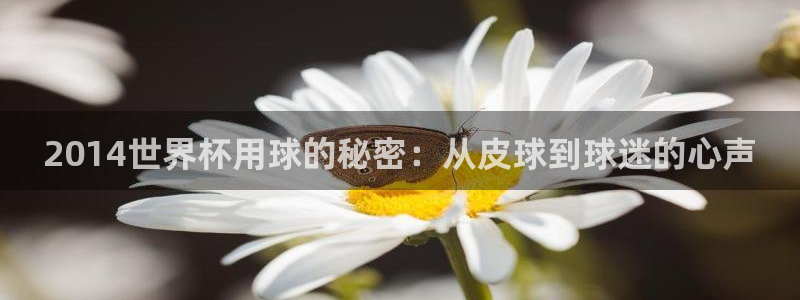 世界杯直播高清：2014世界杯用球的秘密：从皮球到球迷的心声