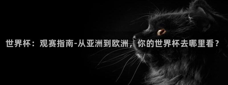 世界杯欧洲预选赛：世界杯：观赛指南-从亚洲到欧洲，你的世界杯去哪里看？