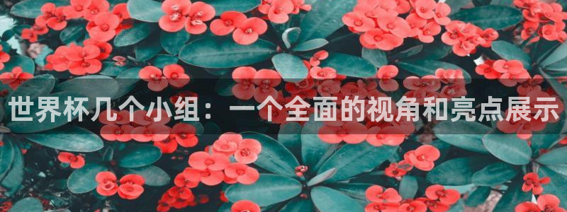 世界杯第一场比赛：世界杯几个小组：一个全面的视角和亮点展示