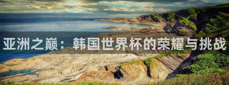 世界杯2026赛程时间表格：亚洲之巅：韩国世界杯的荣耀与挑战