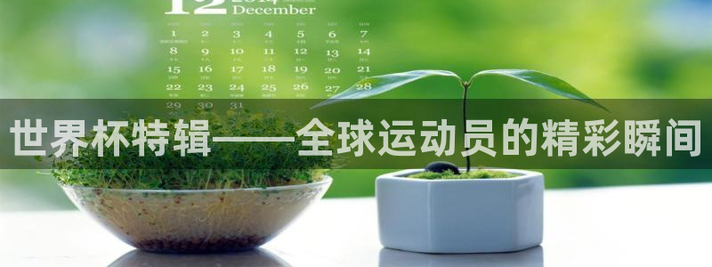 2026男足世界杯赛程：世界杯特辑——全球运动员的精彩瞬间