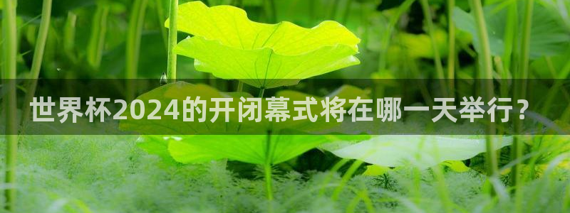 2026世界杯直播免费观看：世界杯2024的开闭幕式将在哪一天举行？
