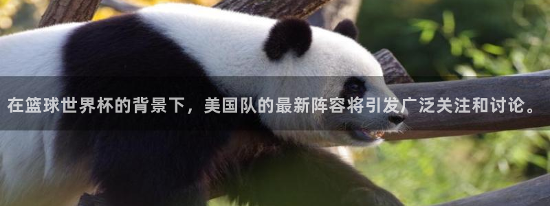 2026世界杯买球：在篮球世界杯的背景下，美国队的最新阵容将引发广泛关注和讨论。