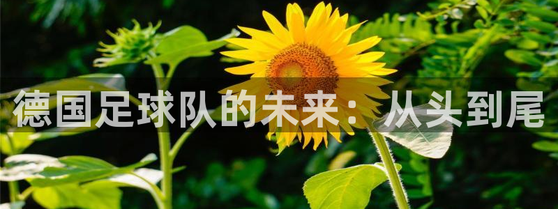2026年世界杯赛程时间表格：德国足球队的未来：从头到尾