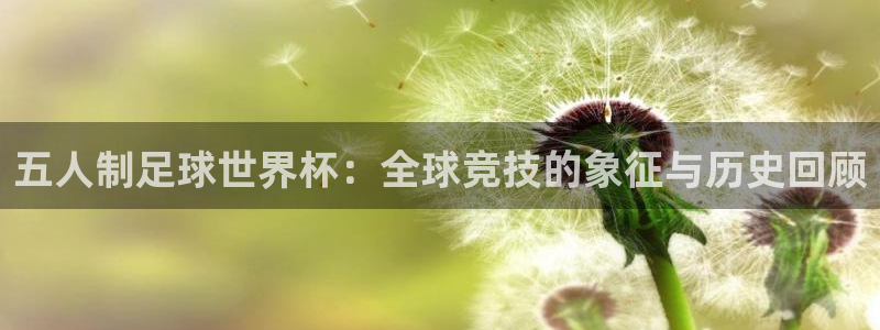 2026男足世界杯赛程：五人制足球世界杯：全球竞技的象征与历史回顾