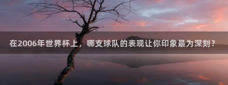 足球世界杯预选赛：在2006年世界杯上，哪支球队的表现让你印象最为深刻？