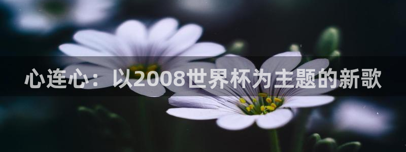 2026足球世界杯赛程：心连心：以2008世界杯为主题的新歌